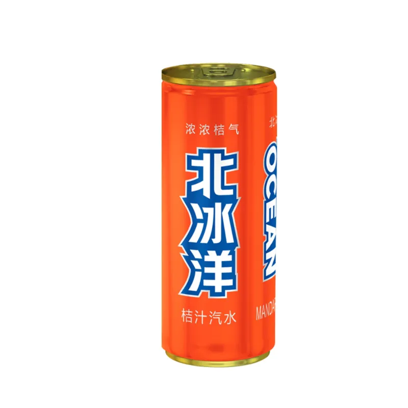 Arctic Ocean Mandarin Orange 330ml