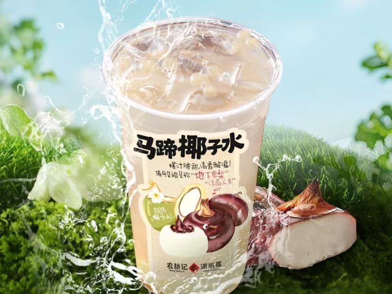 Water Chestnut and Coconut Water