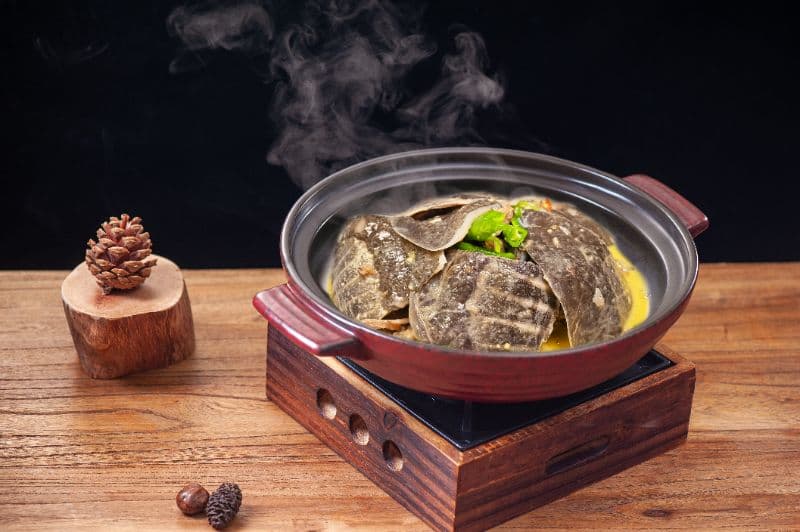 Stewed Soft-Shelled Turtle